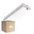 Confezione Multipack 4x Bulkhead LED Bianca 3W 280lm - 830 Luce Calda -  | IP66