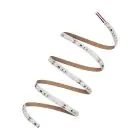 Ledvance Strisce LED Performance 43W 4645lm 24v - 927 Bianco Molto Caldo | 5M/8mm - Miglior Resa Cromatica