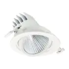 Philips Faretti LED LuxSpace Accent Performance RS781B 29.5W 3850lm 36D - 830 Luce Calda -  | 170mm - Dali Dimmerabile