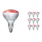 Confezione Multipack 10x Philips BR125 E27 Riflettore 250W | Infrared